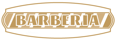 Barberias y Peluquerias, Directorio Web